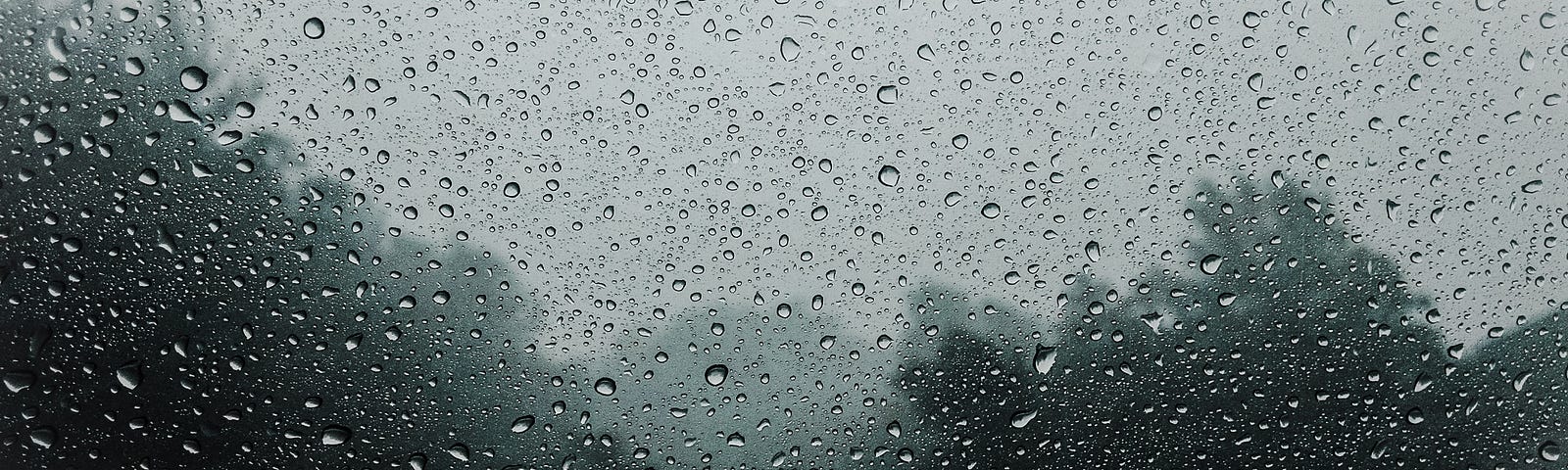 Blurred photo of forest and gray sky through a car window and rain, with bea