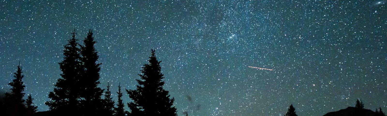 Photo has Campfire centered in the deep night of stars and horizon of trees.