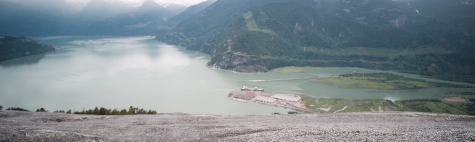 Staring at the national park.