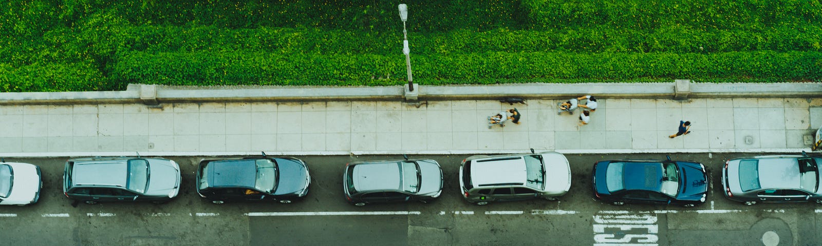 Cars parked along a street