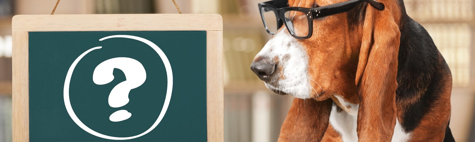 Cute hound dog puppy with glasses, with a green chalkboard with a question mark on it.