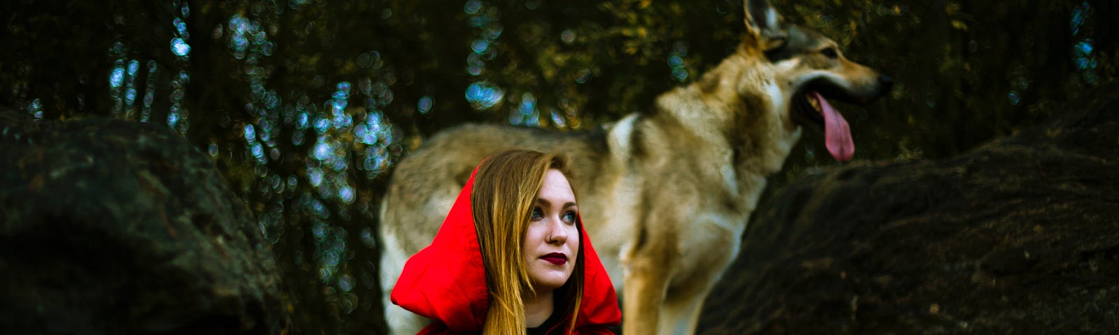 A woman dressed as Red Riding Hood is standing in a forest. A wolf-like dog isstanding behind her.