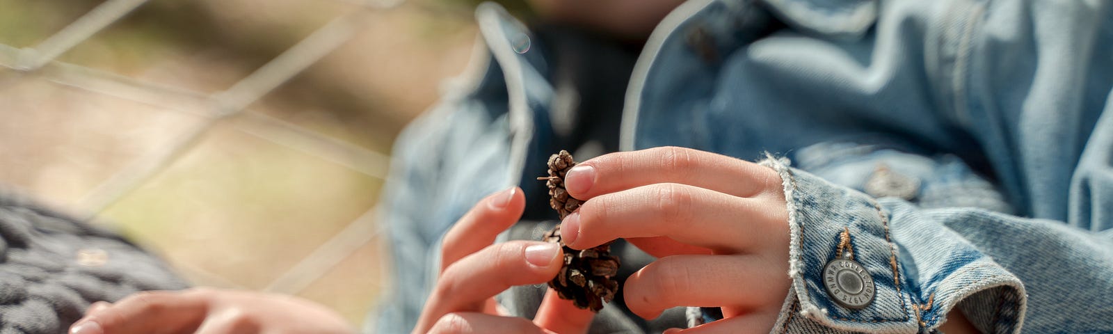 A child’s hands, holding a small treasure he’s found.