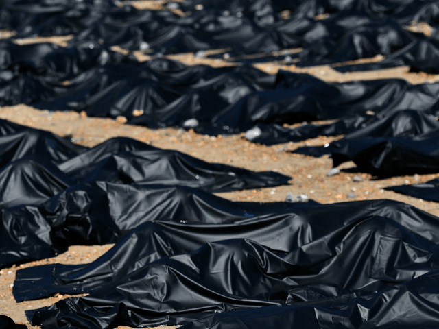 rows of bulky black body bags lying on the dirt