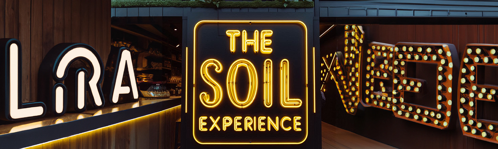 the soil experience in neon