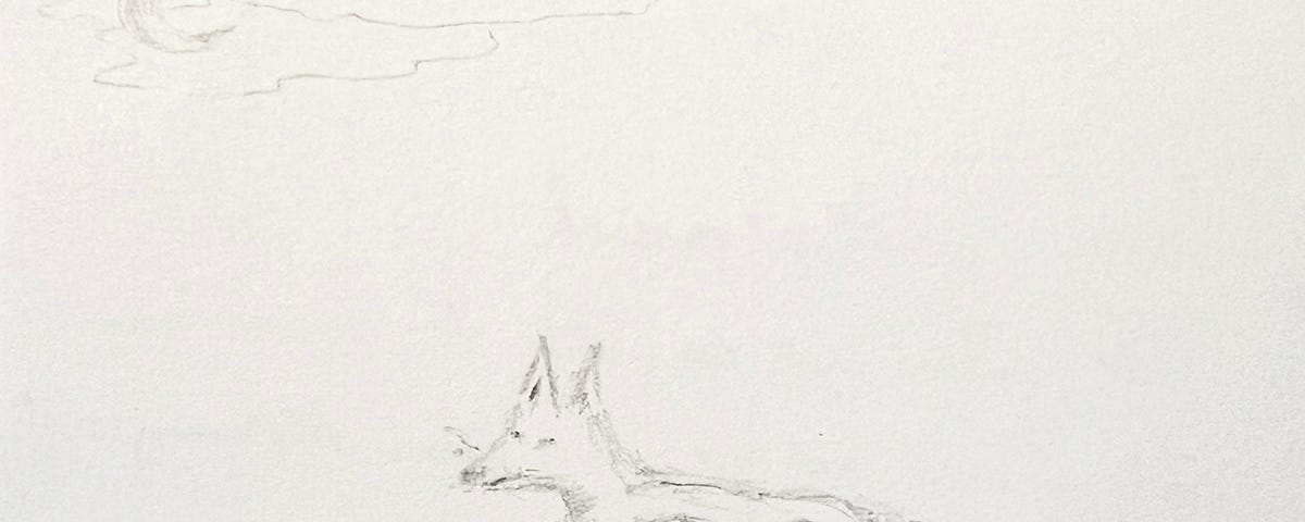 illustration of fox vixen with cub