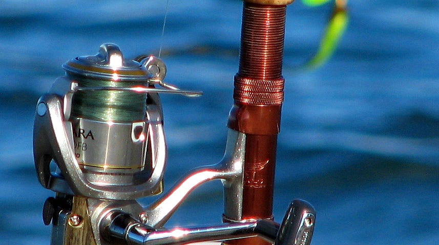 picture of fishing reel
