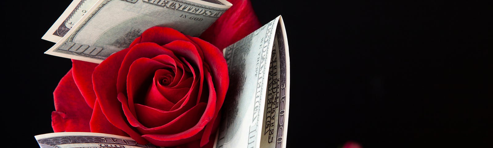 A red rose with hundred dollar bills tucked into the petals. (Valentine’s Day, Valentine’s Day spending, Valentine’s Day gifts, National Retail Federation, NRF)