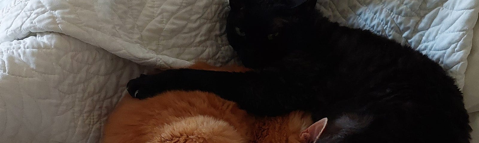 An orange cat and a black cat curled up sleeping on a bed