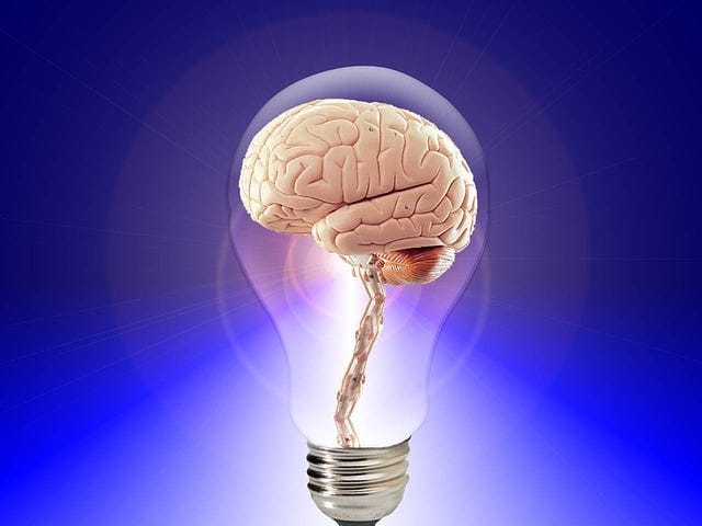 The image shows a light bulb and a brain inside it.