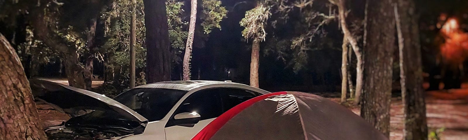 A car with its hood up to keep the critters from nesting and chewing on wires, parked at a camping spot with a small tent, surrounded by pine trees.