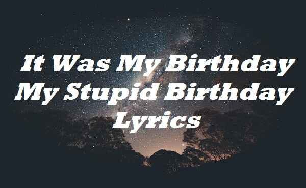 it was my birthday my stupid birthday