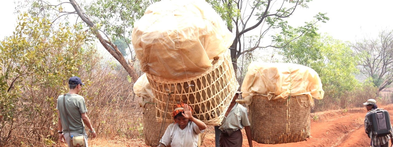 Women carrying heavy loads down a narrow path