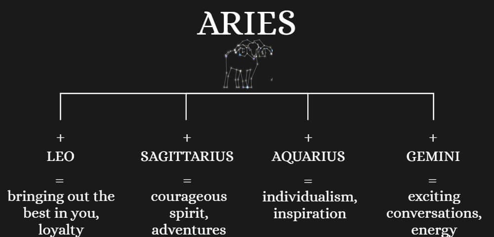 Which Zodiac Sign Should You Start a Family With: Aries