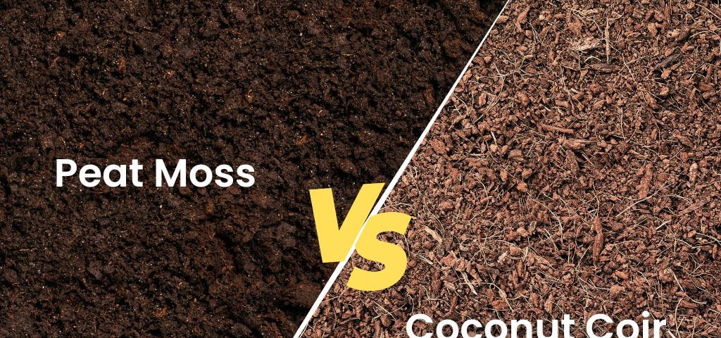 Coconut Coir vs Peat Moss