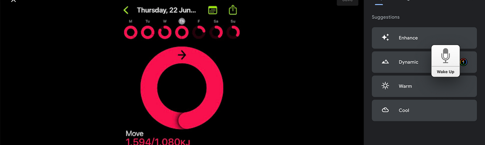 Weekly Physical Activity Summary: Seven-day Visual Representation of Daily Activity Circles