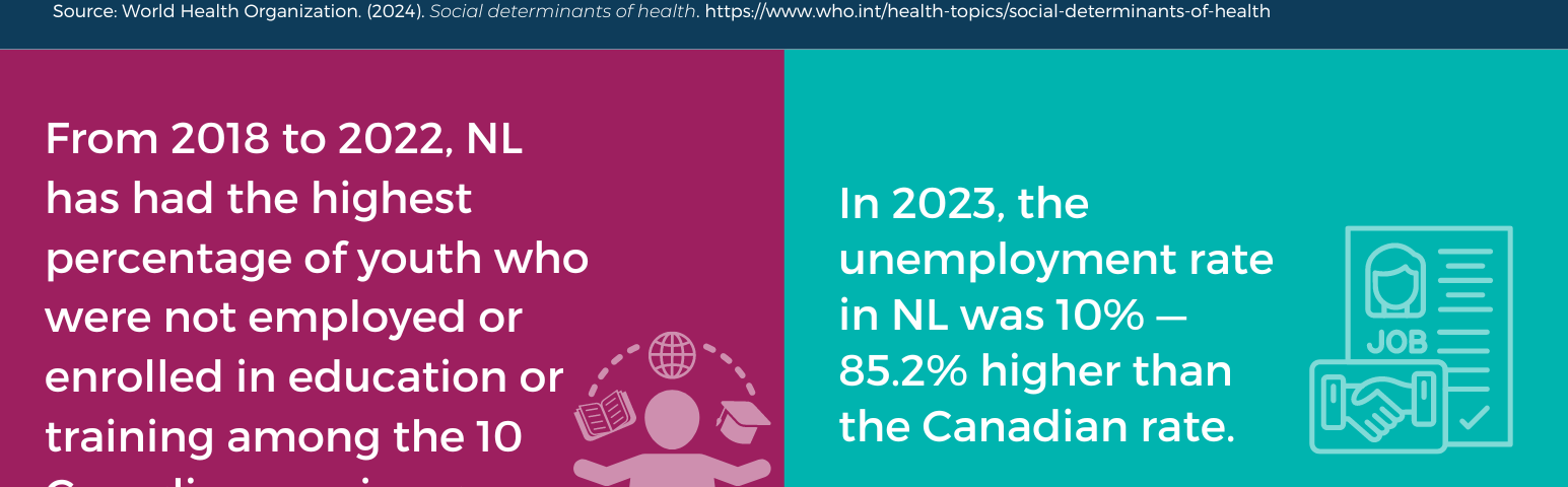 Infographic titled Social Determinants of Health in Newfoundland and Labrador