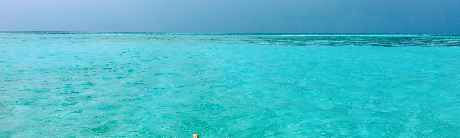 swimming in Maldives