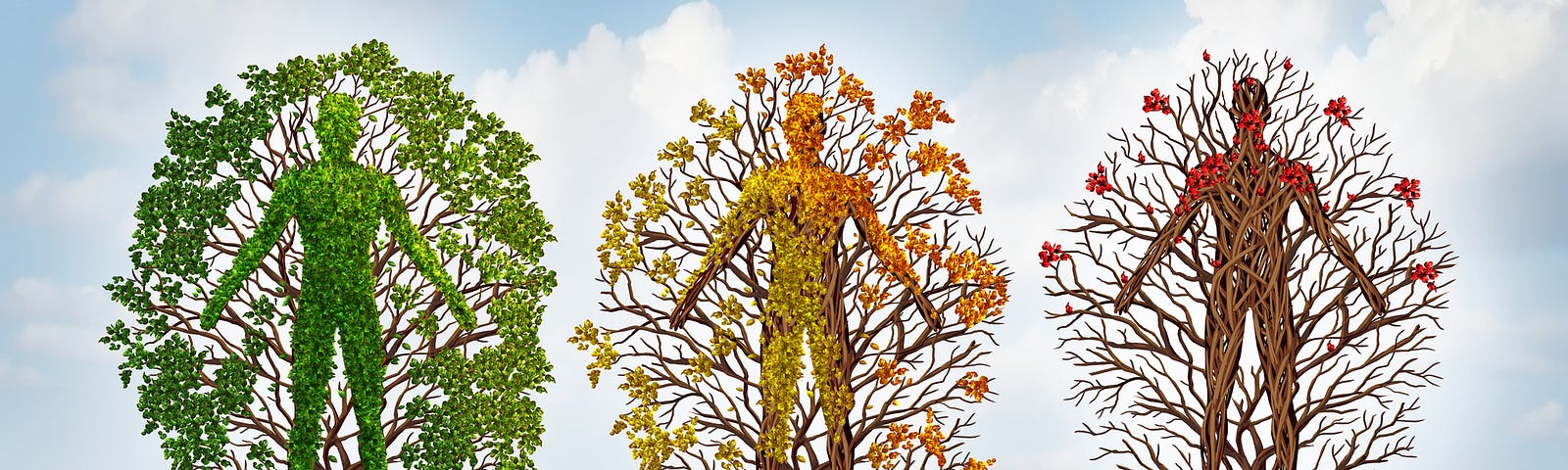 Illustration of aging depicted as trees, each witih less leaves