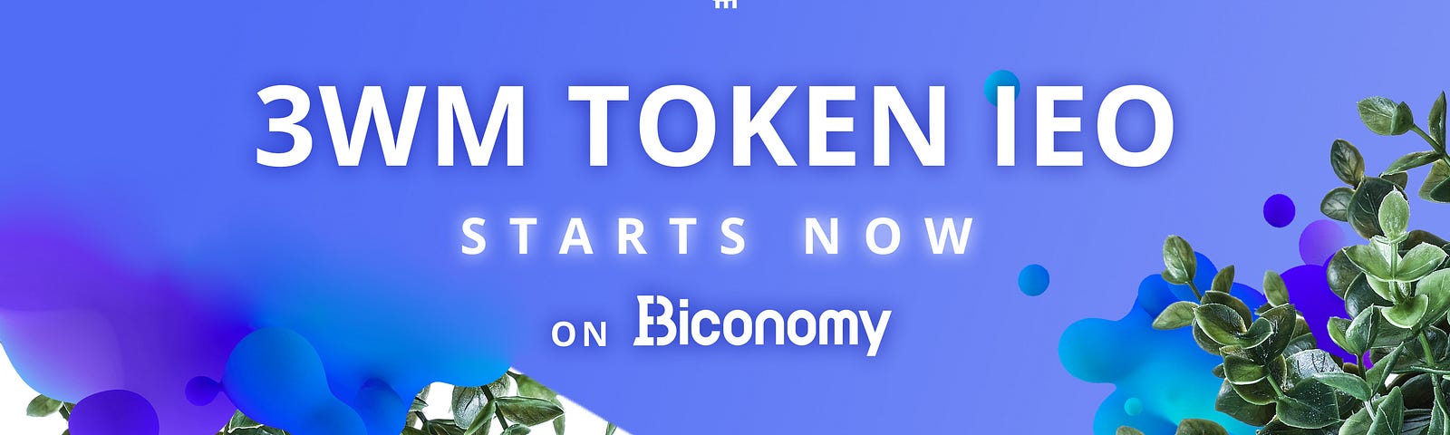 3WM Token IEO Starts on Biconomy!