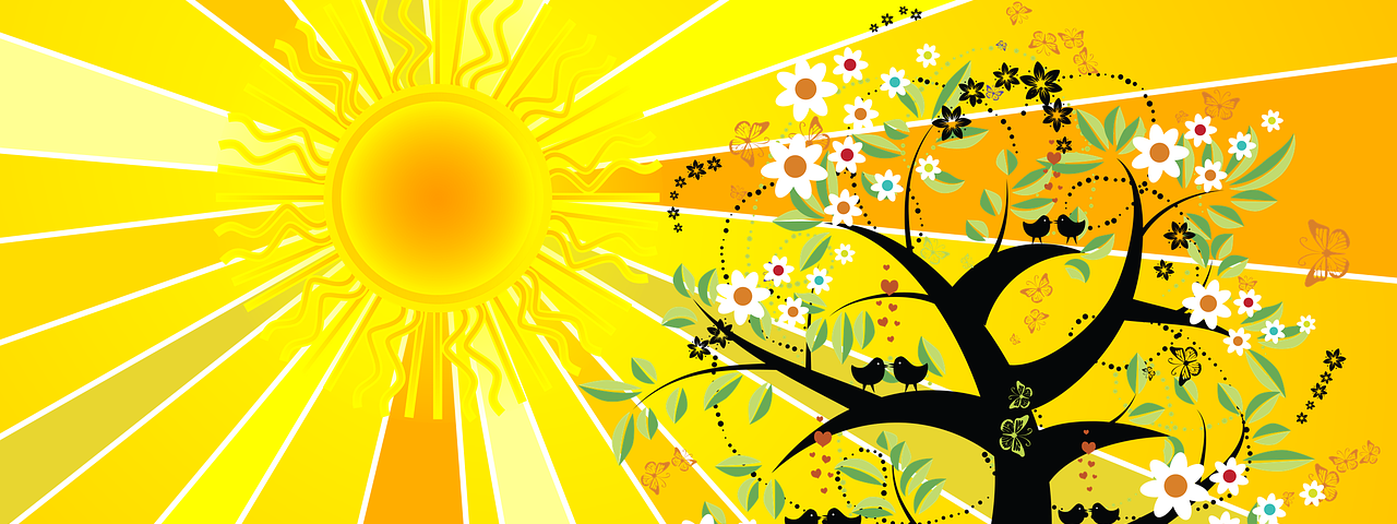 Image of the sun and a tree