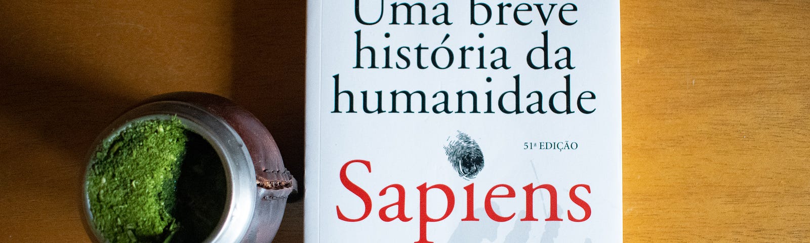 O livro Uma breve história da humanidade repousa numa mesa ao lado de um chimarrão.