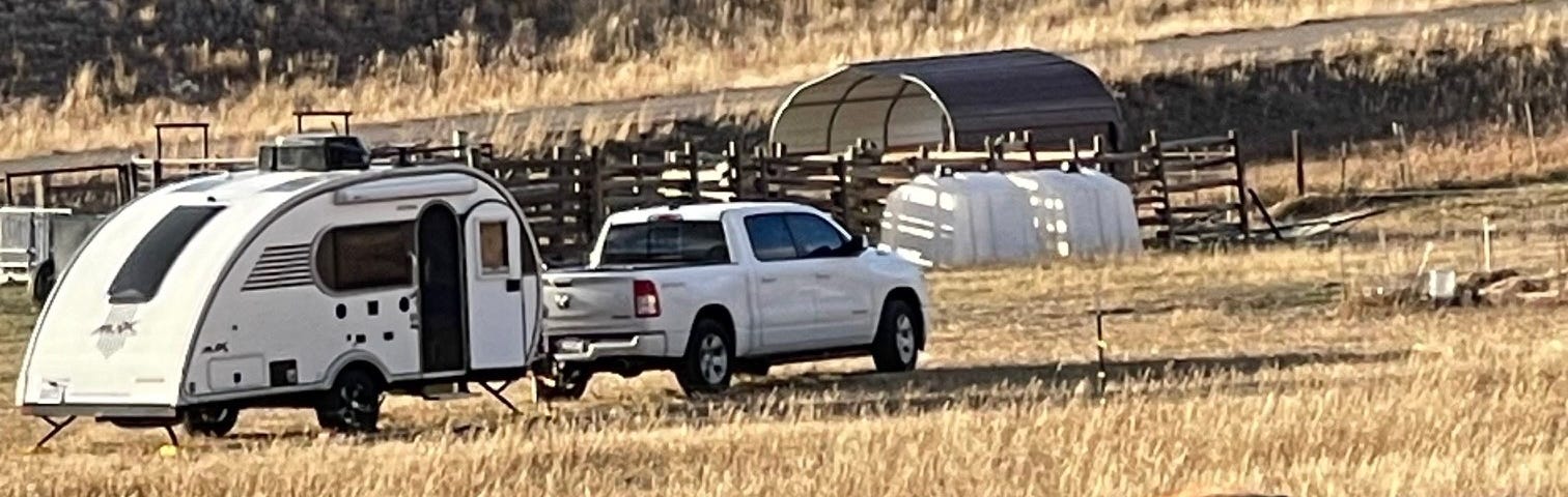 A white teardrop shaped trailer and white truck in a field with cows