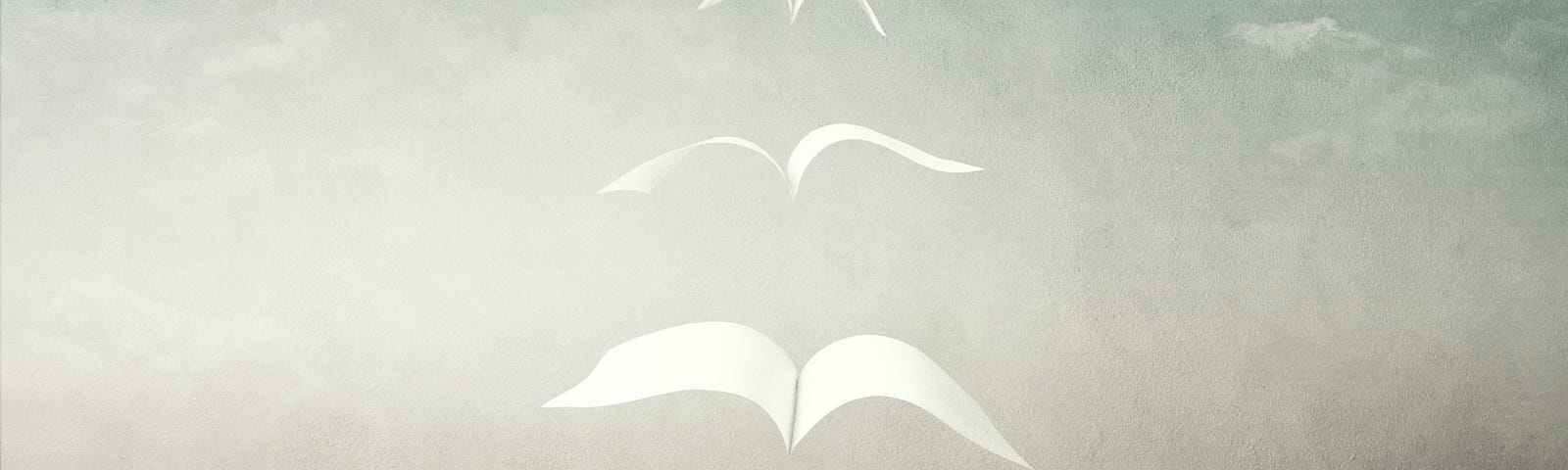 Pages from an open book transforming into birds and flying away.