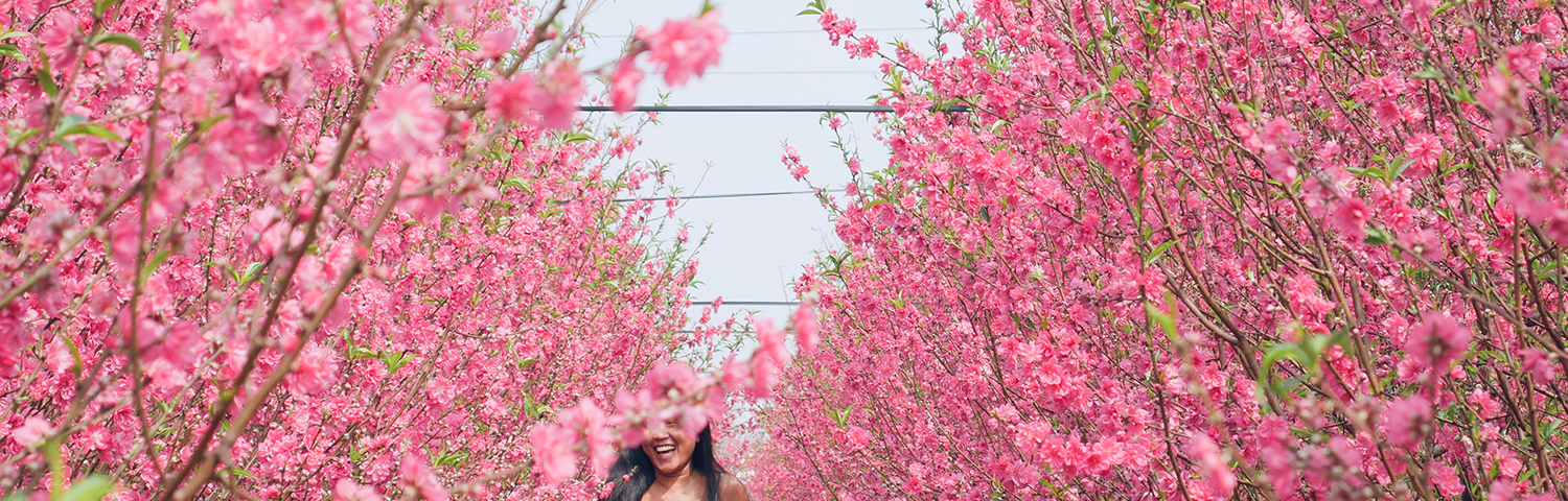 plum flowers. lady smiling