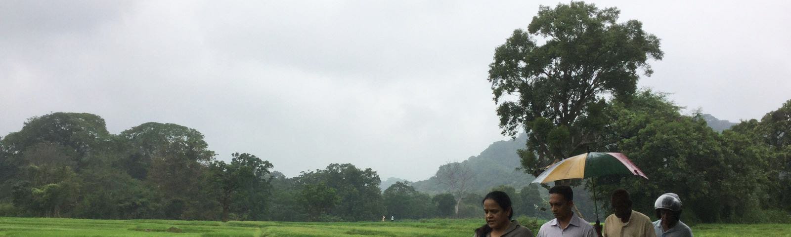 A woman walks along a narrow path along a verdant green field with three people following closely behind her and one holding an umbrella.