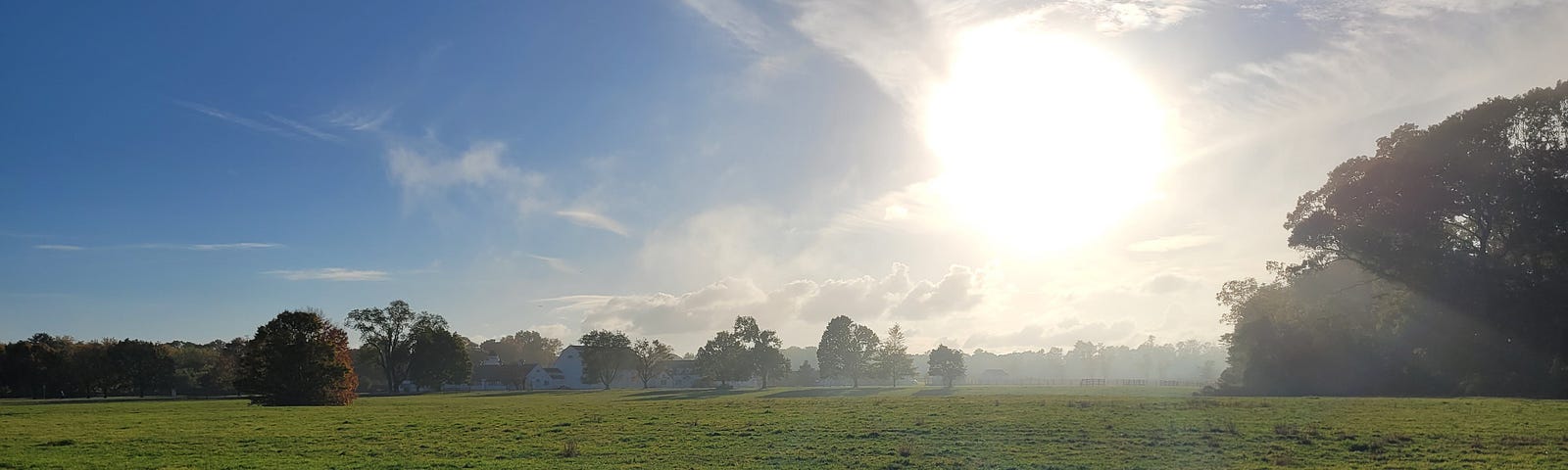 A serene landscape featuring a sunlit field with scattered trees under a clear blue sky.