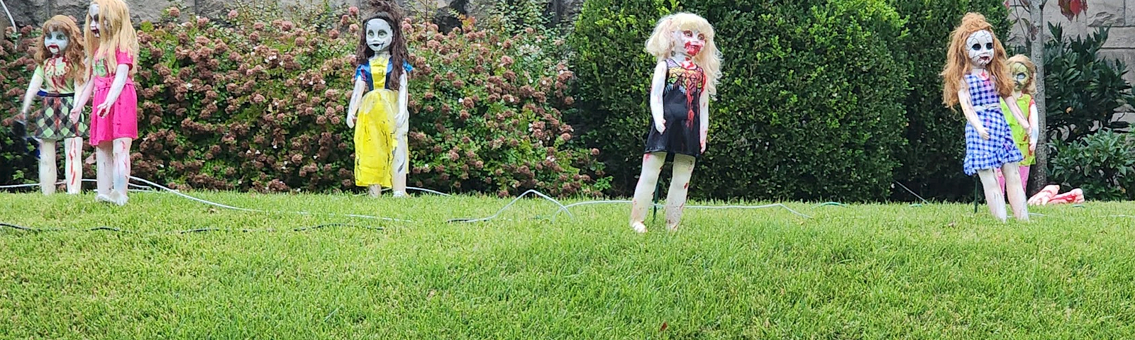 Scary dolls on the lawn