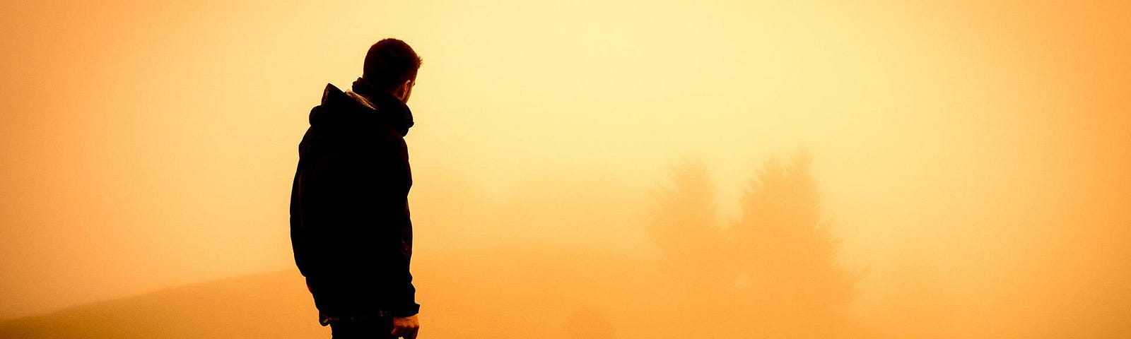 A person wearing a coat turns away from the camera toward the orange sky.