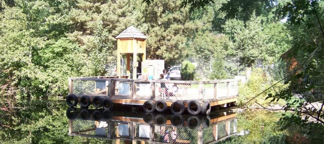 A picture of a boat dock with green trees surrounding it and a small wooden tower on the dock and tires on the front. The water shows a complete detailed reflection of the image. It is hard to tell which way to hold the photo, it is so clear.