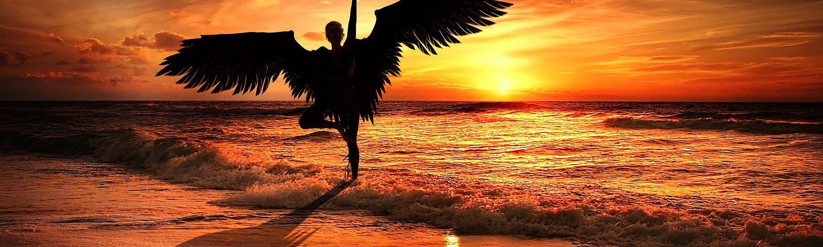 A silhouette of a winged figure standing on one foot in the ocean surf with the sunset behind.