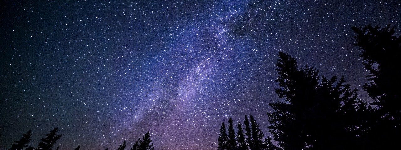 An image of the night sky, with the Milky Way as a faint ribbon of stars above the trees. Image by Free-Photos from Pixabay.