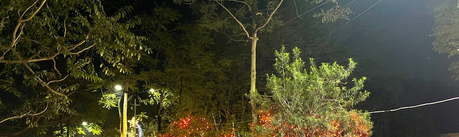 A tar road, with a yellow-black striped divider. The trees on the divider have been illuminated with fairy lights. The fairy lighting extends along the entire street and it appears to be a major celebration.