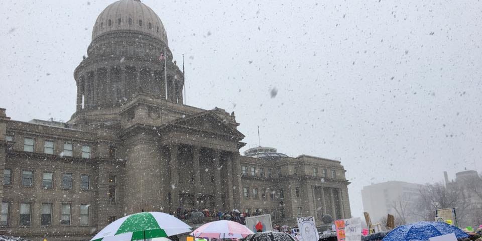 protesters in the snow