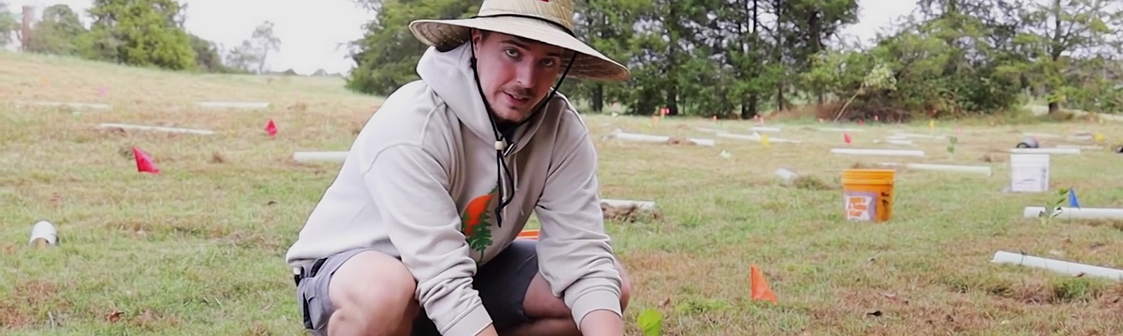 MrBeast sitting in a mostly-barren field with his hands around a recently-planted small tree.