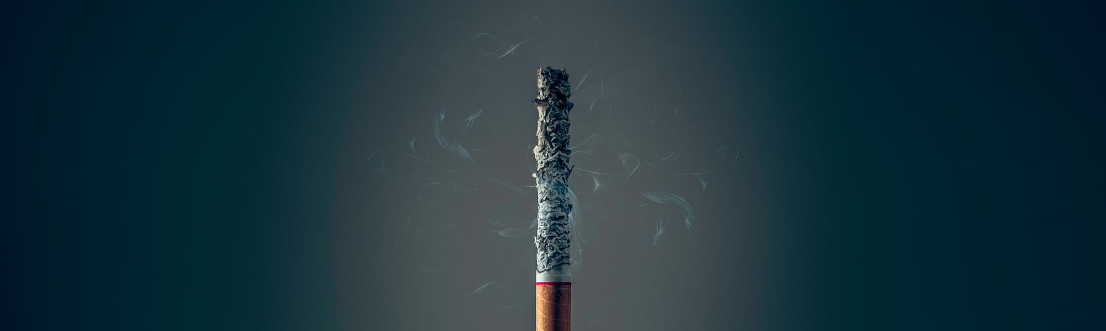A single cigarette standing on its filter, the rest of it a pile of ashes.