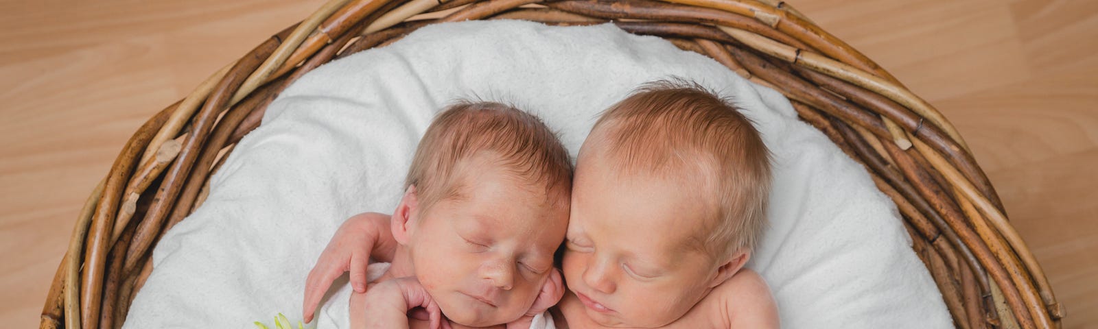 Newborn twin girls, sleeping in a basket, one’s arm over the other