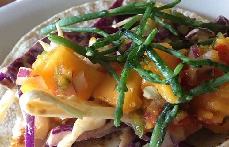 HodgeonRepeat blog — Healthy Food 911: post-pandemic palate revival — fish tacos