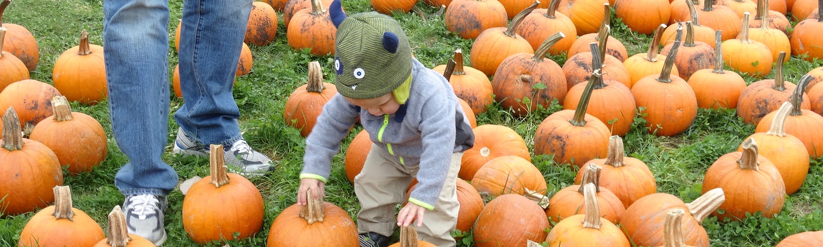 A toddler with a knit monster hat stands in a sea bright orange pumpkins. He squats down to grab two pie sized pumpkins. To the left a grown up’s legs in jeans stands next to him.