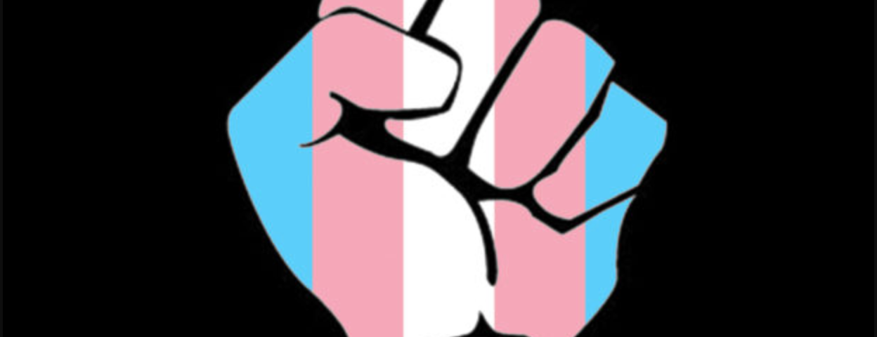 Drawing of upraised fist with trans flag colors