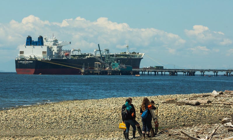 Students work on the shoreline of Cherry Point with a large ship in the background.