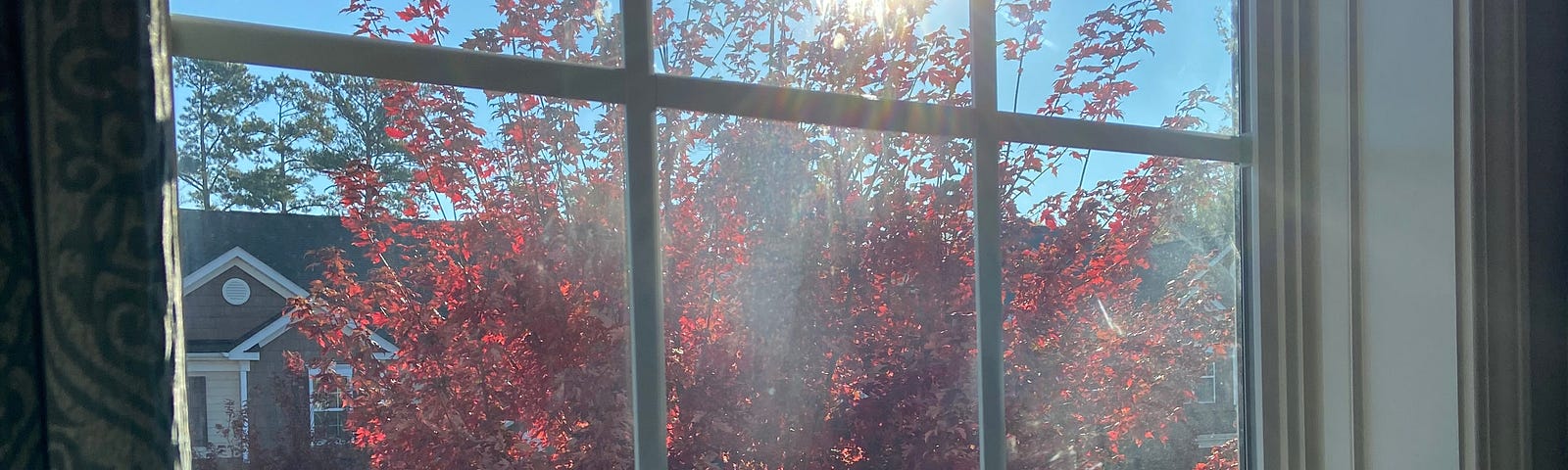 Sun shining bright over a red autum tree captured via a window