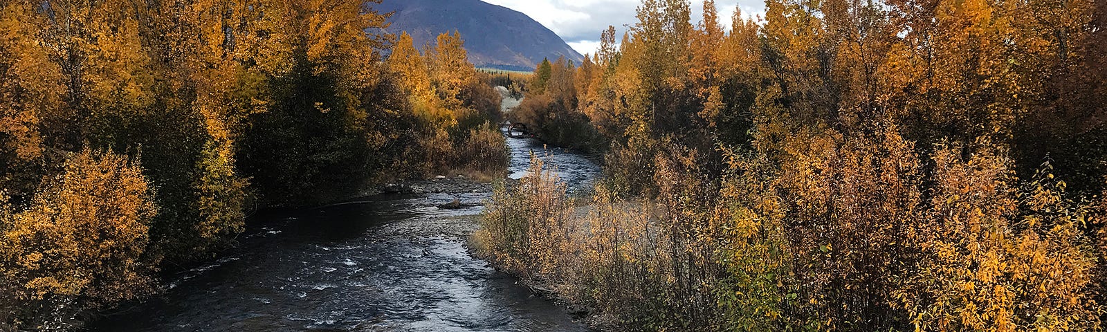 a river surrounded by fall leaves with a mountain downstream