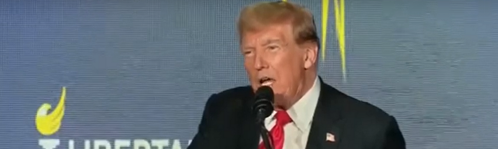 Trump booed repeatedly during Libertarian convention speech