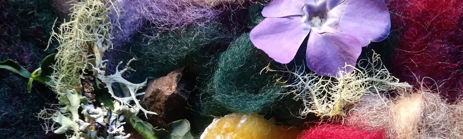 collage of mixed colors of dyed wool with lichen, moss, mushroom, lemon peel, periwinkle blossom, lacinato kale, sprouted garlic