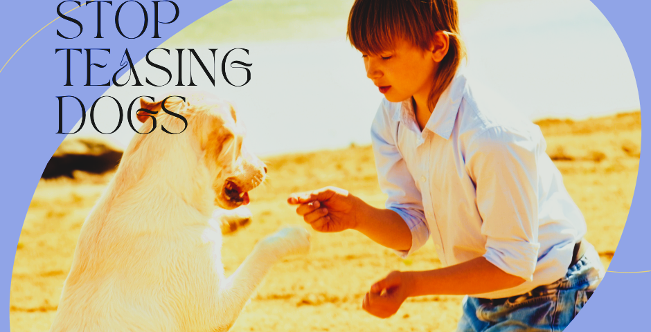 A little boy giving a treat to a dog with text saying to Stop teasing dogs
